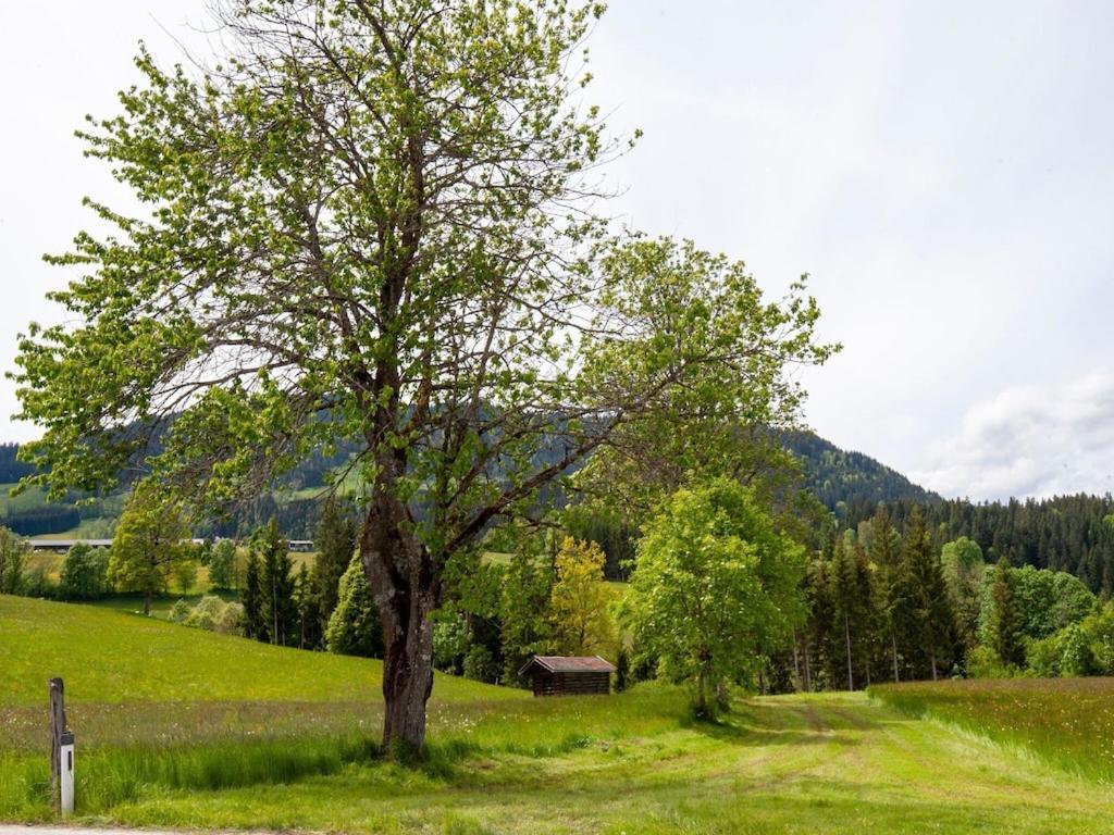 Stellar Holiday Home In Hopfgarten With Roof Terrace Hopfgarten im Brixental Exterior photo